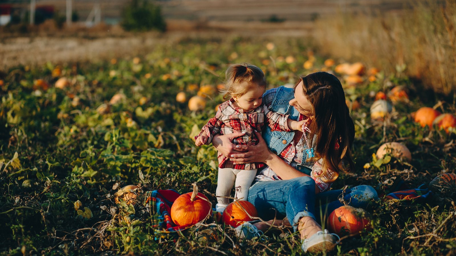 The Ultimate Fall Weekend Itinerary in Ventura County: From Oceanside Sunset Walks to Inland Pumpkin Patches